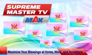 Supreme Master TV Max